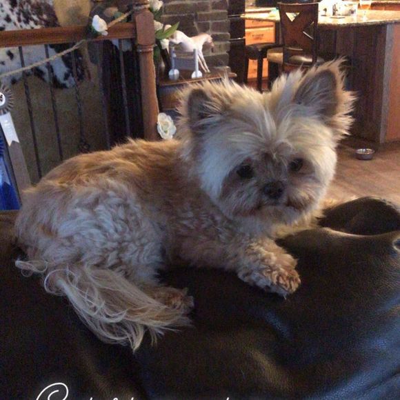 Meet your Posher, Christen - Picture 1 of 1